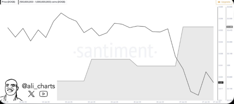 Dogecoin Whales Accumulate 460M DOGE: What Lies Ahead for the Meme Token?