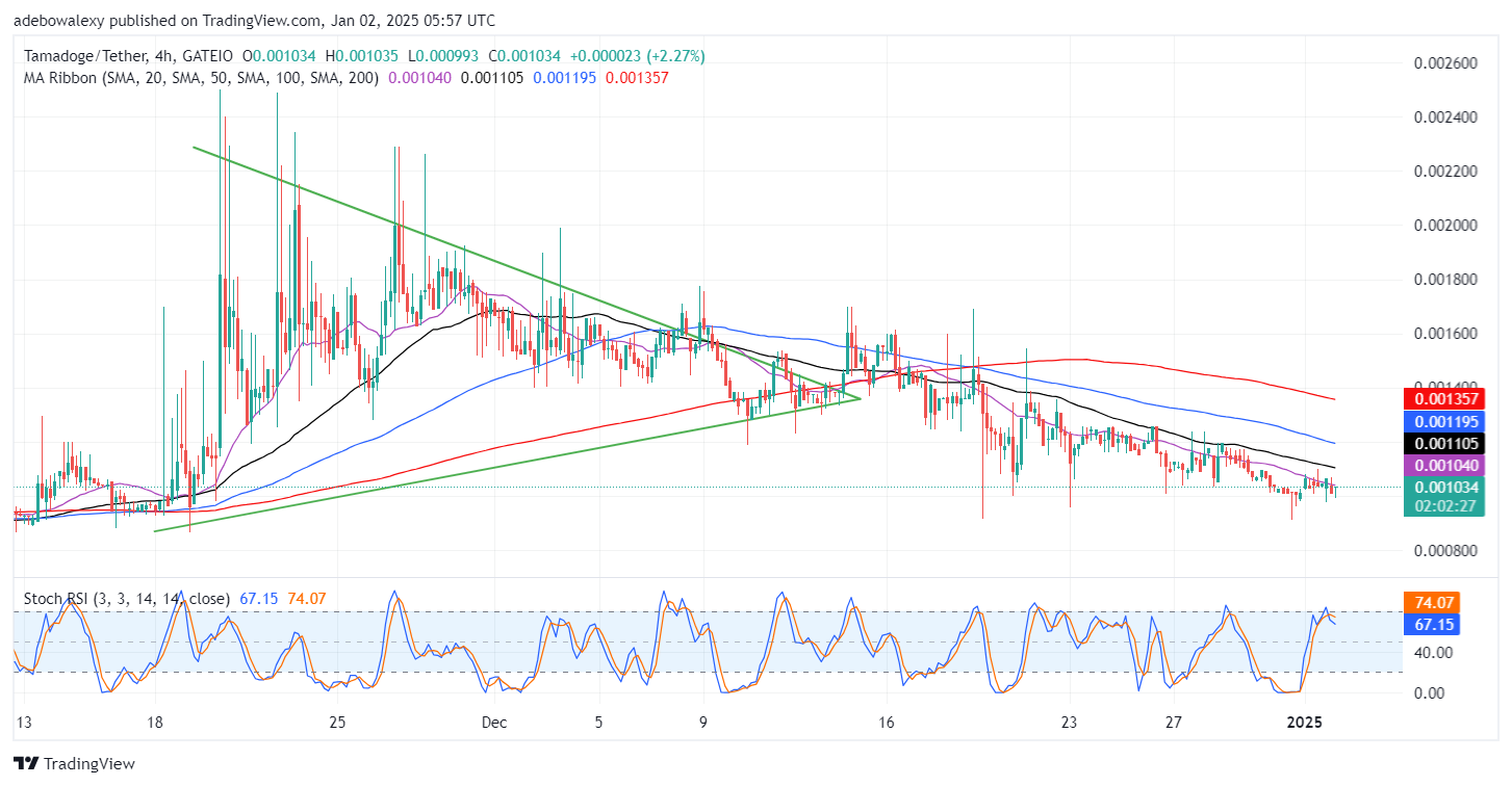 Tamadoge (TAMA) Price Outlook for January 2: TAMA/USDT Bulls Fight Back