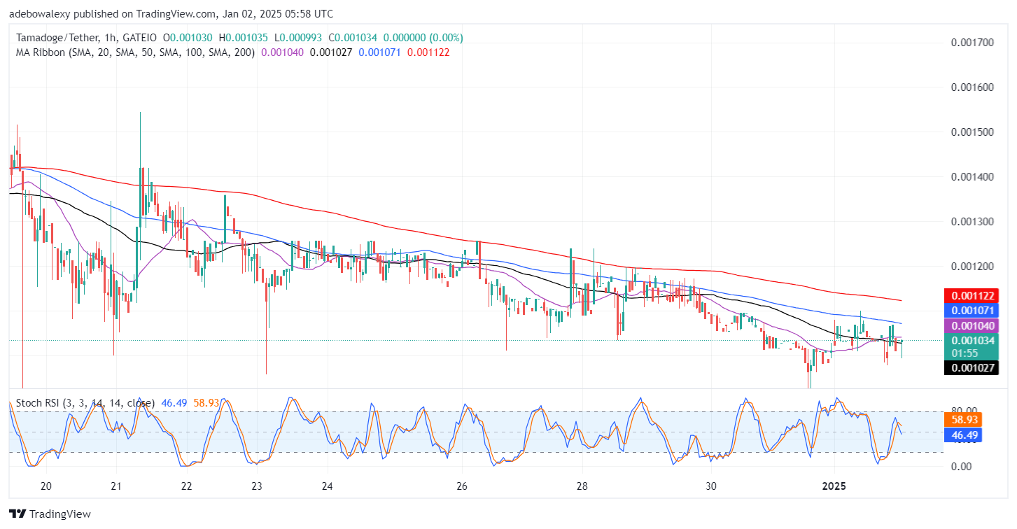 Tamadoge (TAMA) Price Outlook for January 2: TAMA/USDT Bulls Fight Back