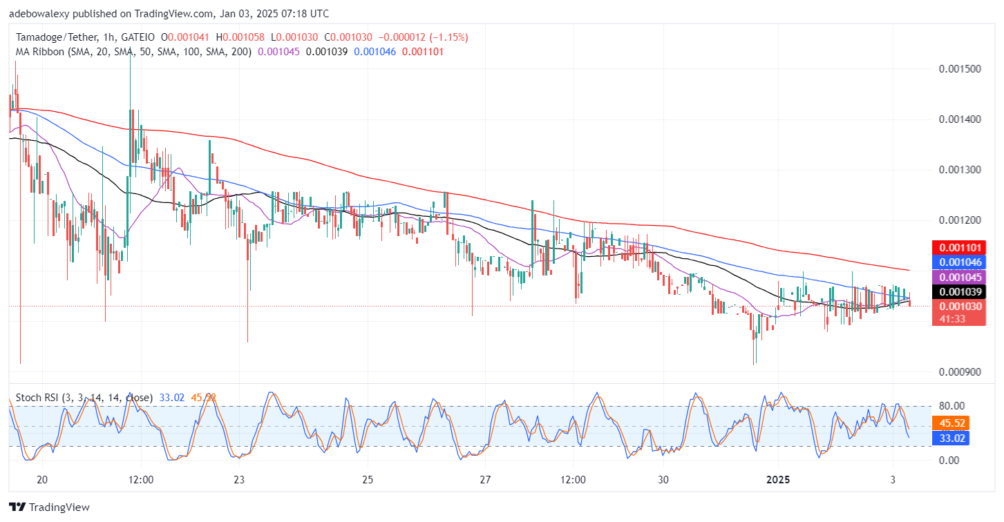 Tamadoge (TAMA) Price Outlook for January 3: TAMA/USDT Seems Determined to Hold the $0.001030 Mark