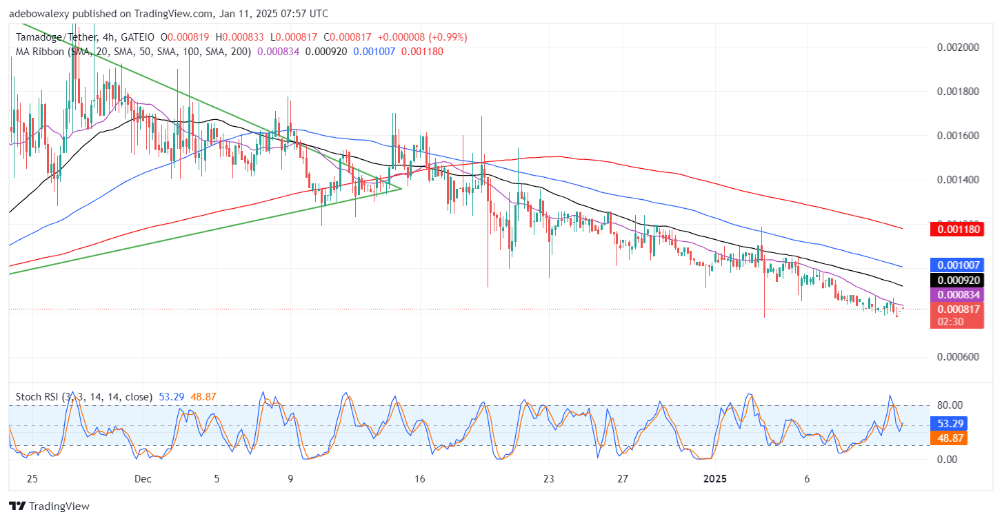 Tamadoge (TAMA) Price Outlook for January 11: TAMA/USDT Prepares to Take Off the $0.000800 Mark