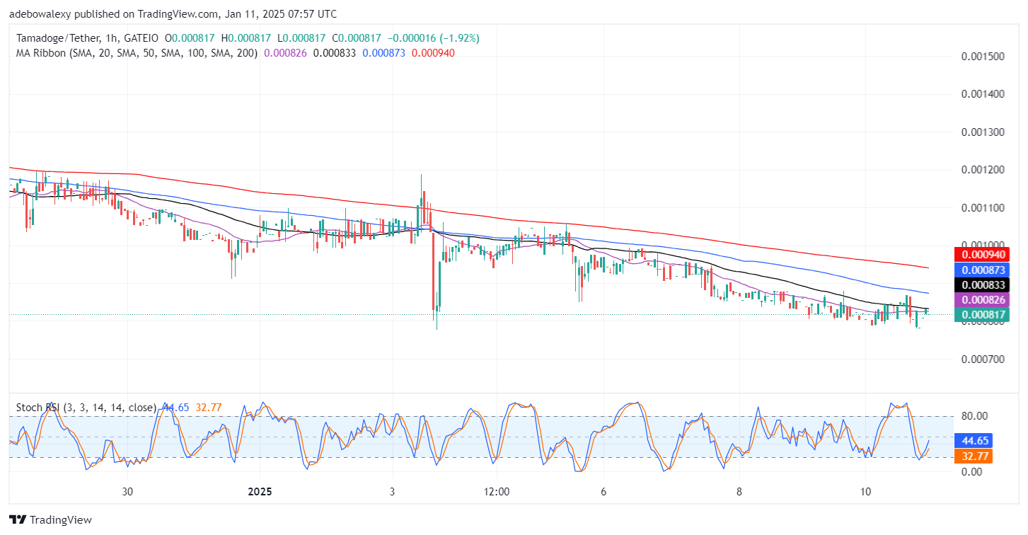 Tamadoge (TAMA) Price Outlook for January 11: TAMA/USDT Prepares to Take Off the $0.000800 Mark