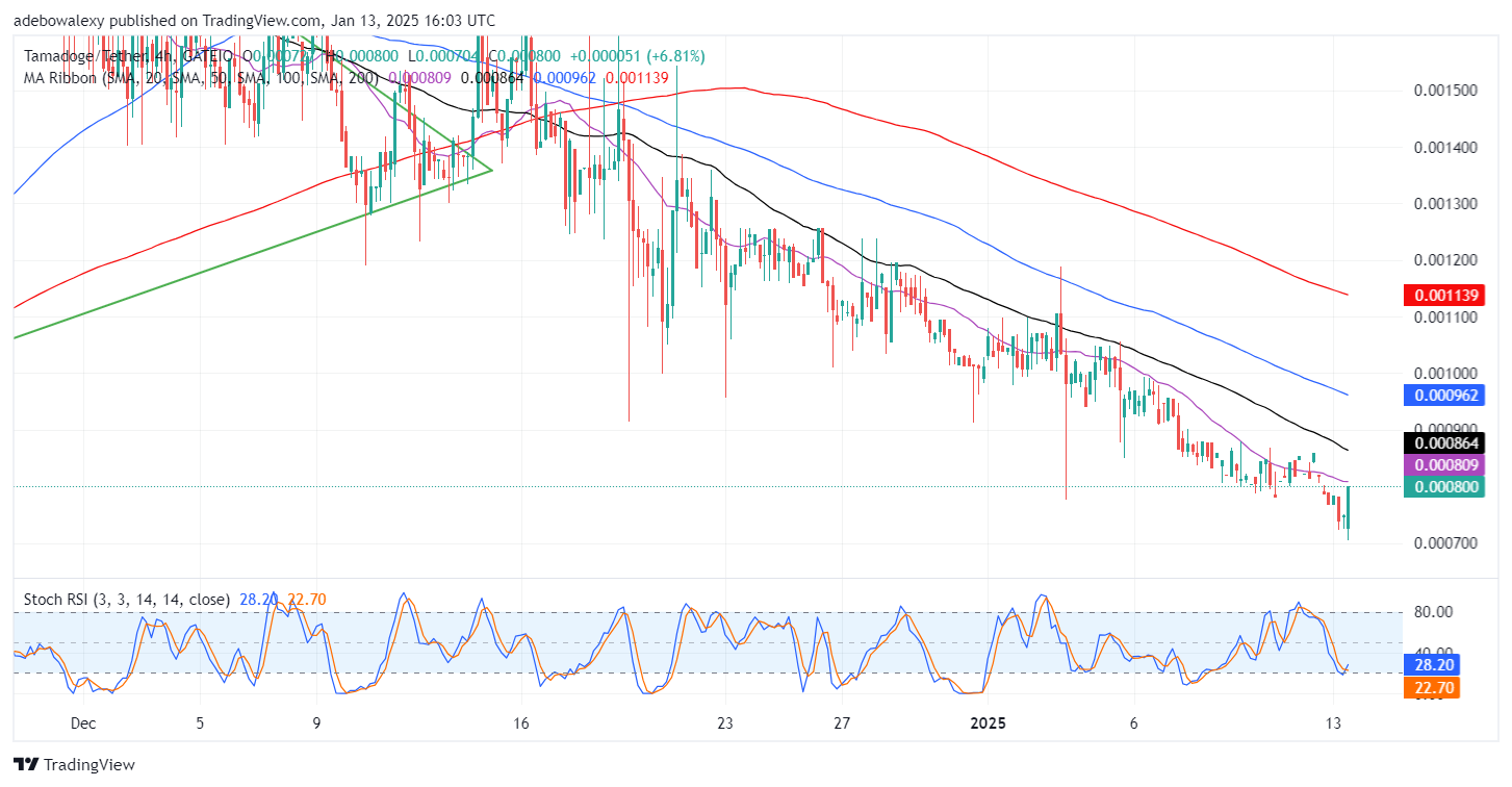 Tamadoge (TAMA) Price Outlook for January 13: TAMA/USDT Market Stages a Rapid Rebound