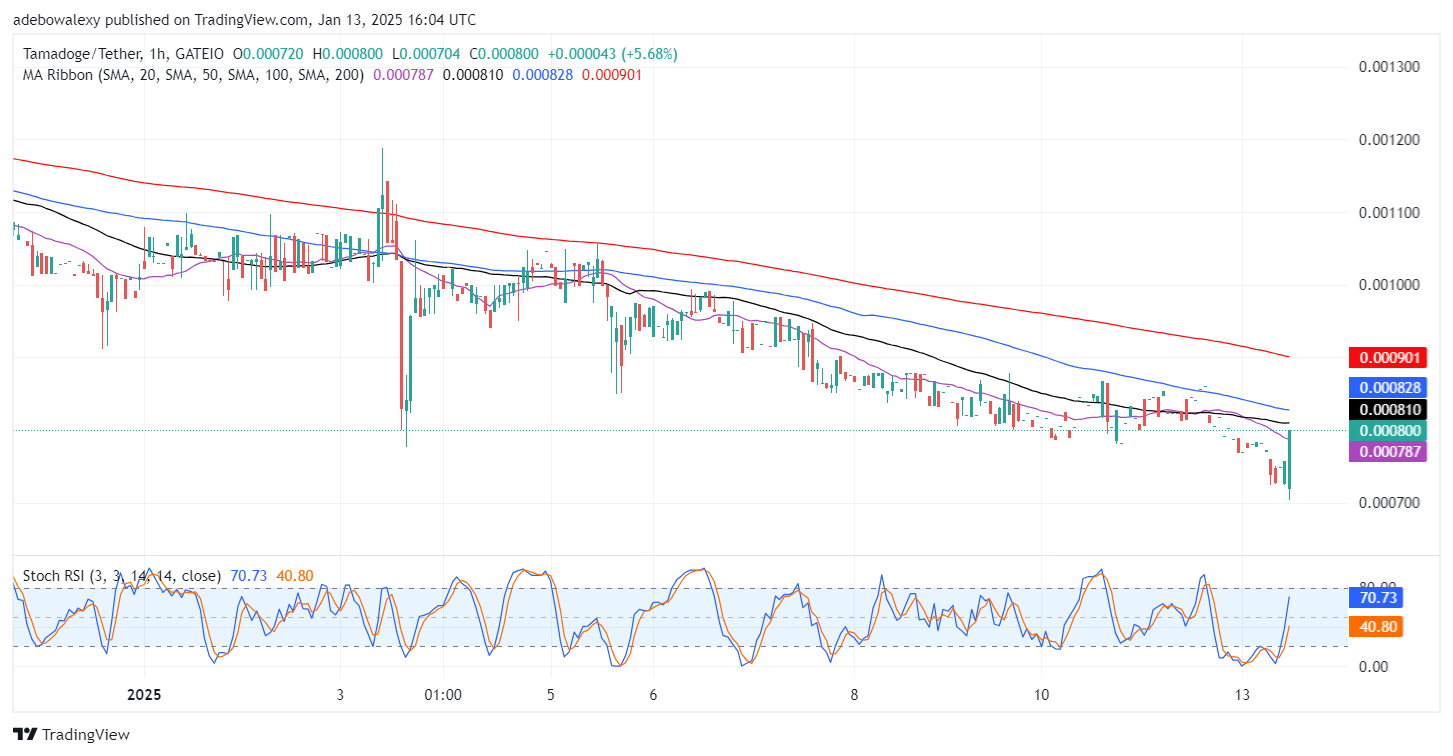 Tamadoge (TAMA) Price Outlook for January 13: TAMA/USDT Market Stages a Rapid Rebound