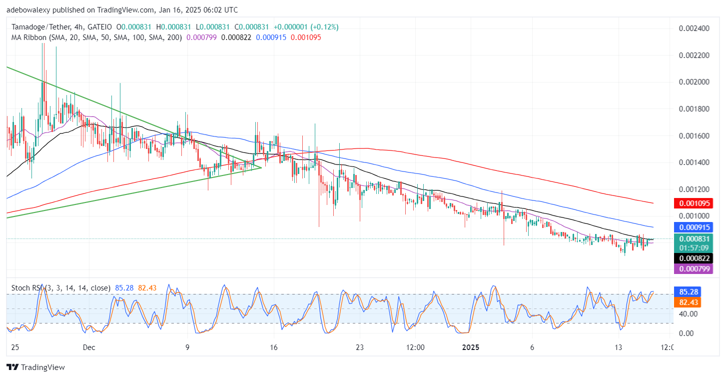 Tamadoge (TAMA) Price Outlook for January 16: TAMA/USDT Market Trading Above $0.000800 Level