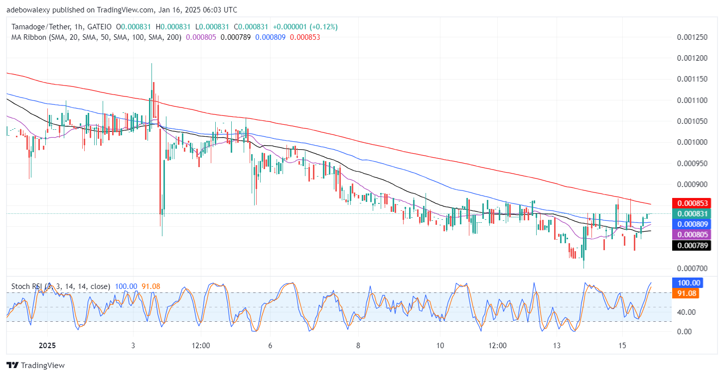 Tamadoge (TAMA) Price Outlook for January 16: TAMA/USDT Market Trading Above $0.000800 Level