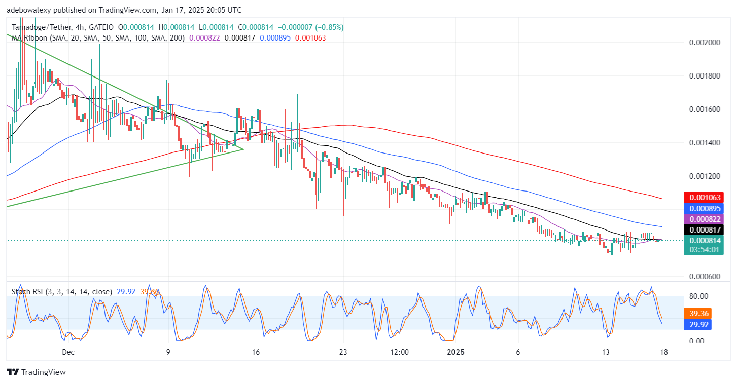 Tamadoge (TAMA) Price Outlook for January 17: TAMA/USDT Market Gains Traction Above $0.000800 Support