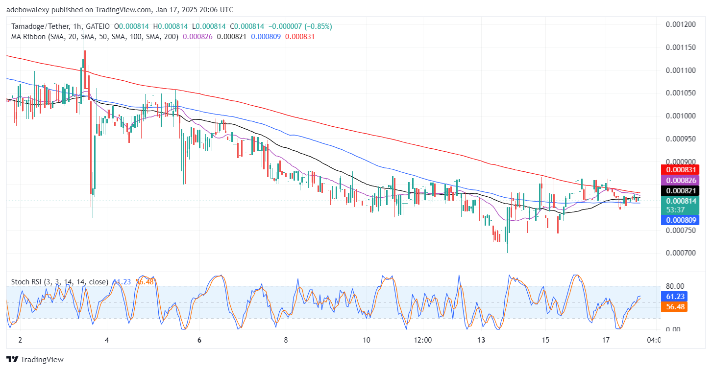 Tamadoge (TAMA) Price Outlook for January 17: TAMA/USDT Market Gains Traction Above $0.000800 Support