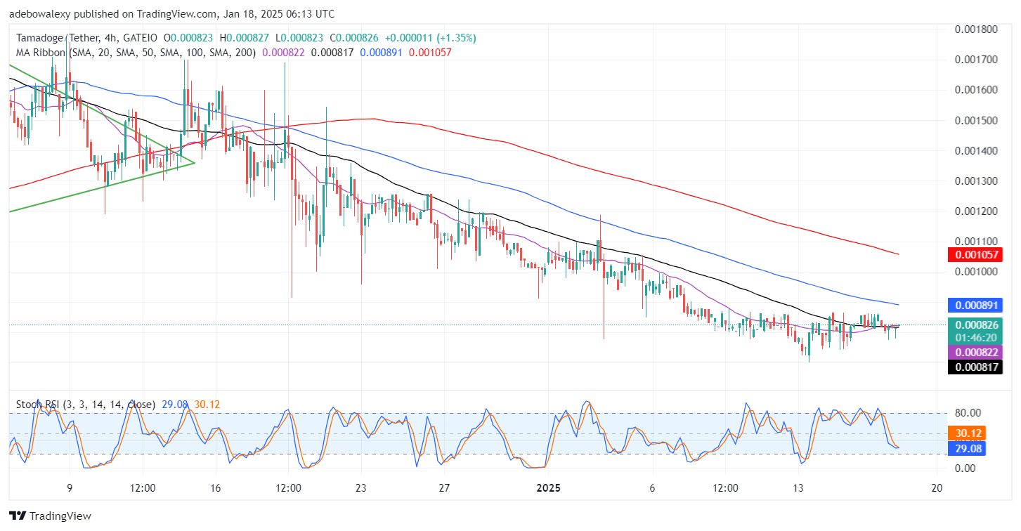 Tamadoge (TAMA) Price Outlook for January 18: Tamadoge Trades Above $0.000820