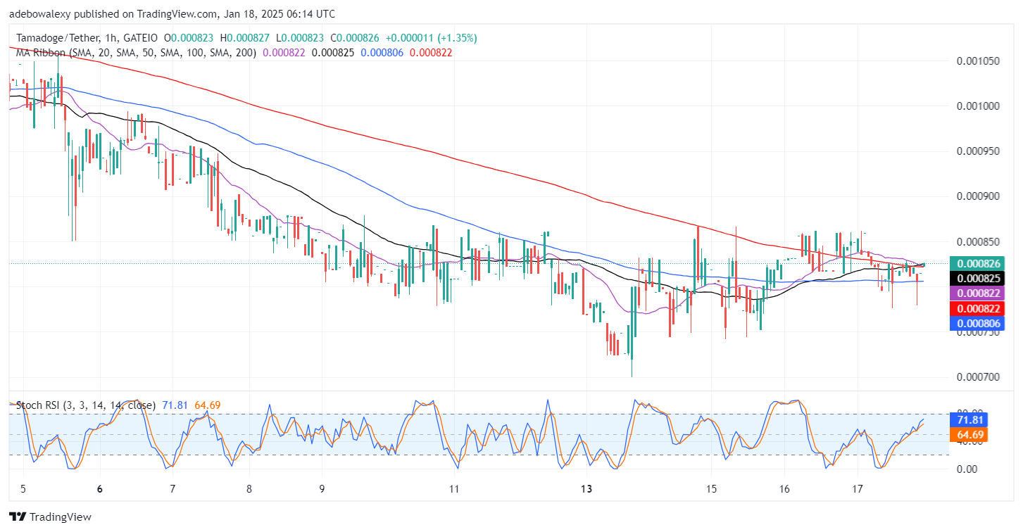 Tamadoge (TAMA) Price Outlook for January 18: Tamadoge Trades Above $0.000820