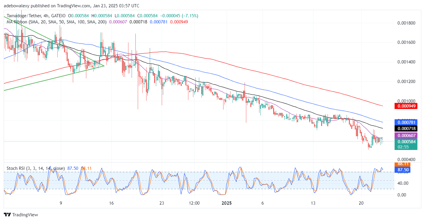 Tamadoge (TAMA) Price Outlook for January 23: Tamadoge Bulls Regroup at $0.000500