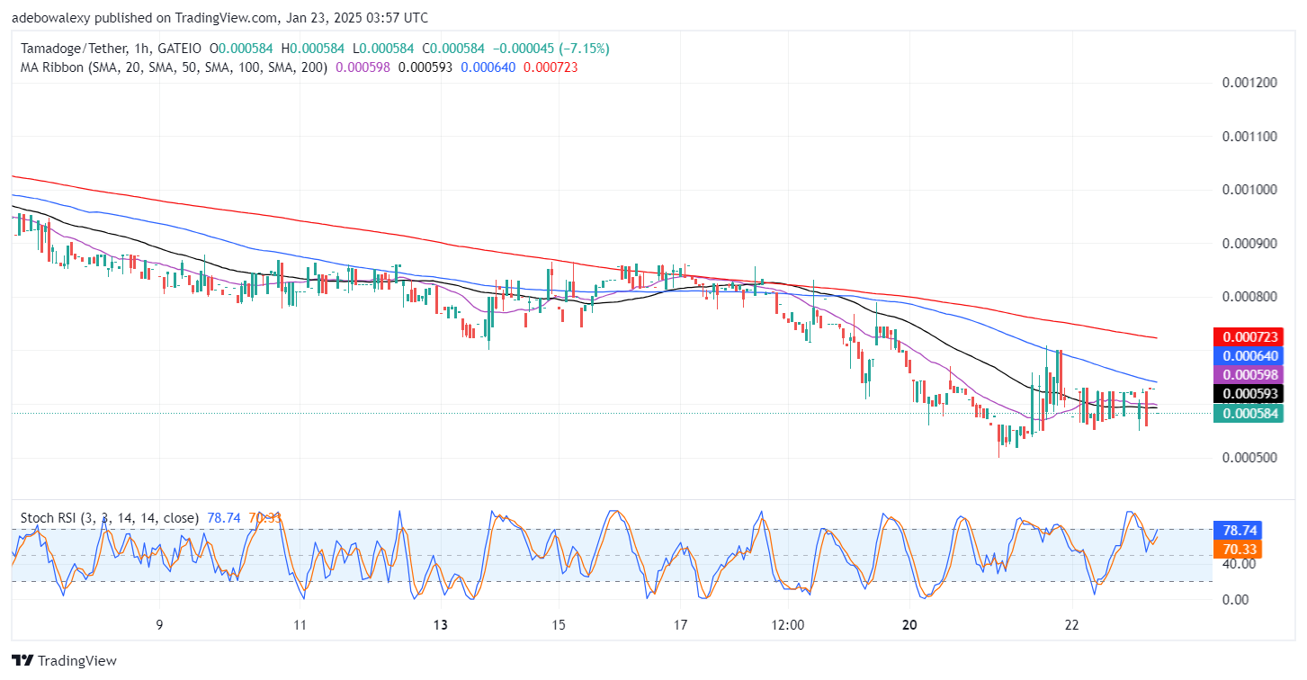 Tamadoge (TAMA) Price Outlook for January 23: Tamadoge Bulls Regroup at $0.000500