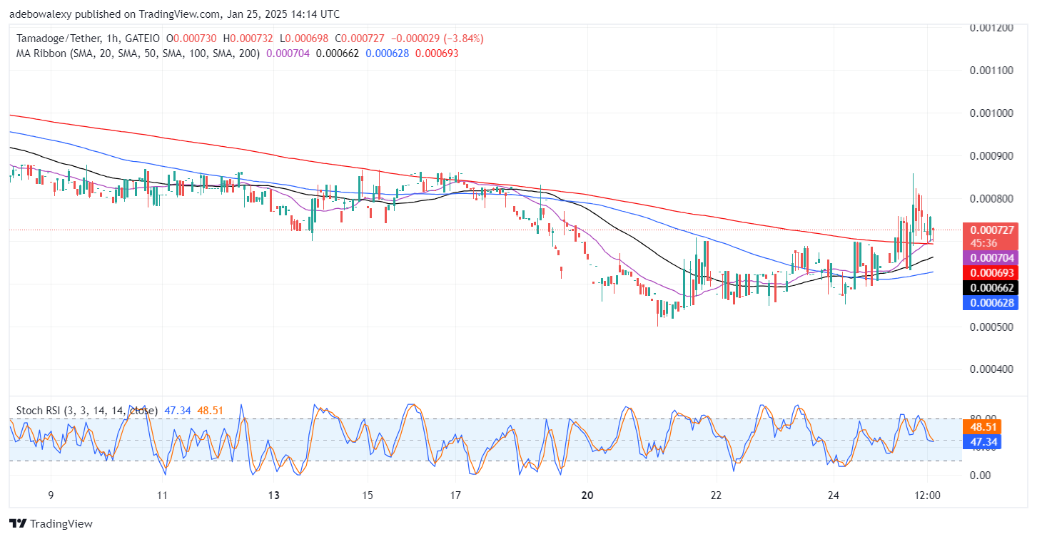 Tamadoge (TAMA) Price Outlook for January 25: Tamadoge Bulls Make Significant Progress