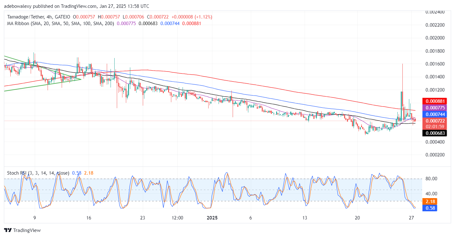 Tamadoge (TAMA) Price Outlook for January 27: Tamadoge Sustains Above $0.0007200