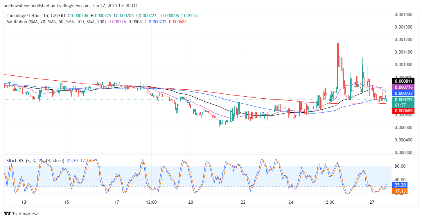 Tamadoge (TAMA) Price Outlook for January 27: Tamadoge Sustains Above $0.0007200