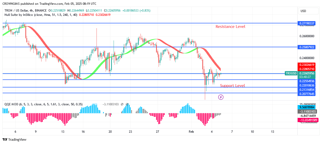 TRON price: Bulls Lose Ground at $0.30 Point