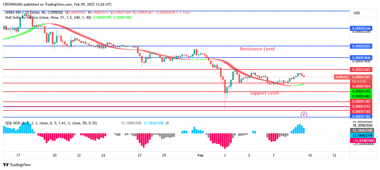 Shiba Inu (SHIB) Price May Retest Previous Low at $0.000013