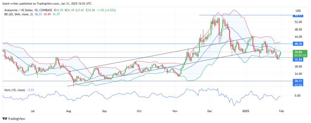 Avalanche Price Forecast - AVAXUSD Buyers Hold Ground, Eyeing $40.000 Market Level for Breakout