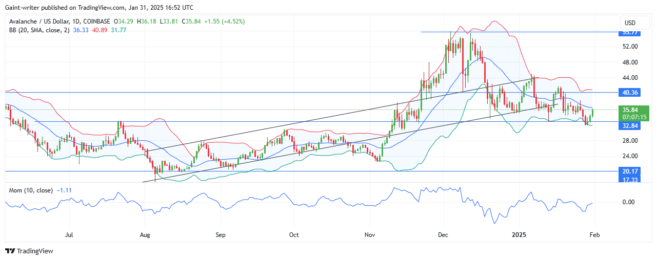 Avalanche Price Forecast - AVAXUSD Buyers Hold Ground, Eyeing $40.000 Market Level for Breakout