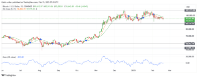 Bitcoin Buyers Struggle to Regain Control