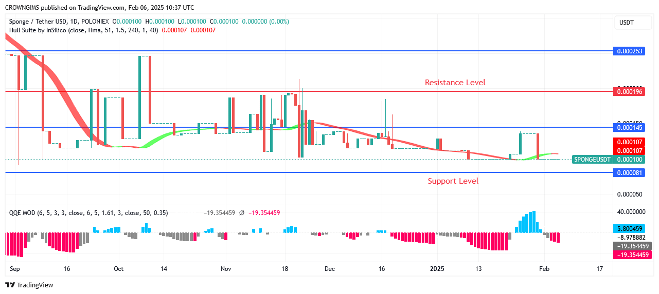 Sponge Price Is Gaining Value Everyday