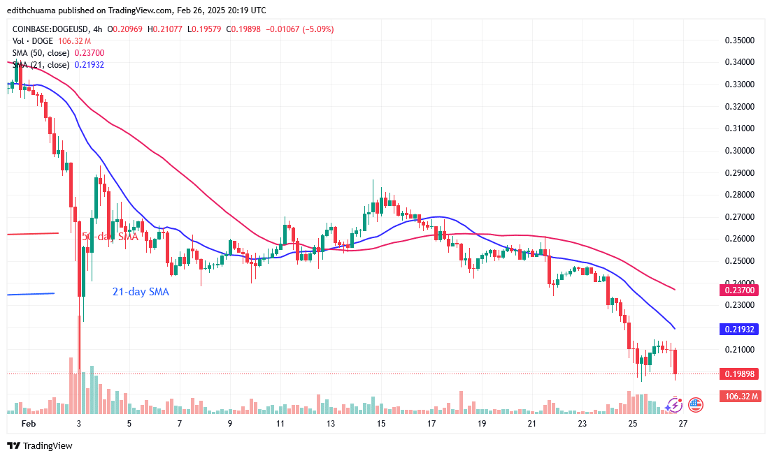 DOGE Risks a Drop as It Remains Above $0.20