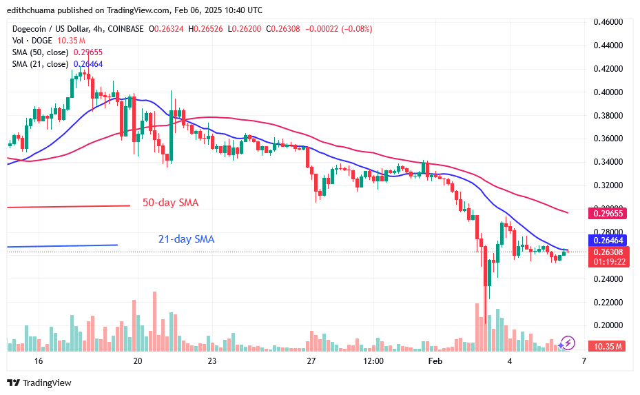 DOGE Slumps as It Loses the Critical $0.30 Support