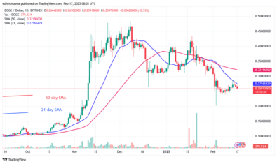 DOGE Bounces Above $0.24 as It Reaches Bearish Exhaustion