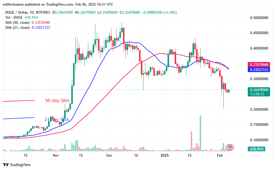 DOGE Slumps as It Loses the Critical $0.30 Support