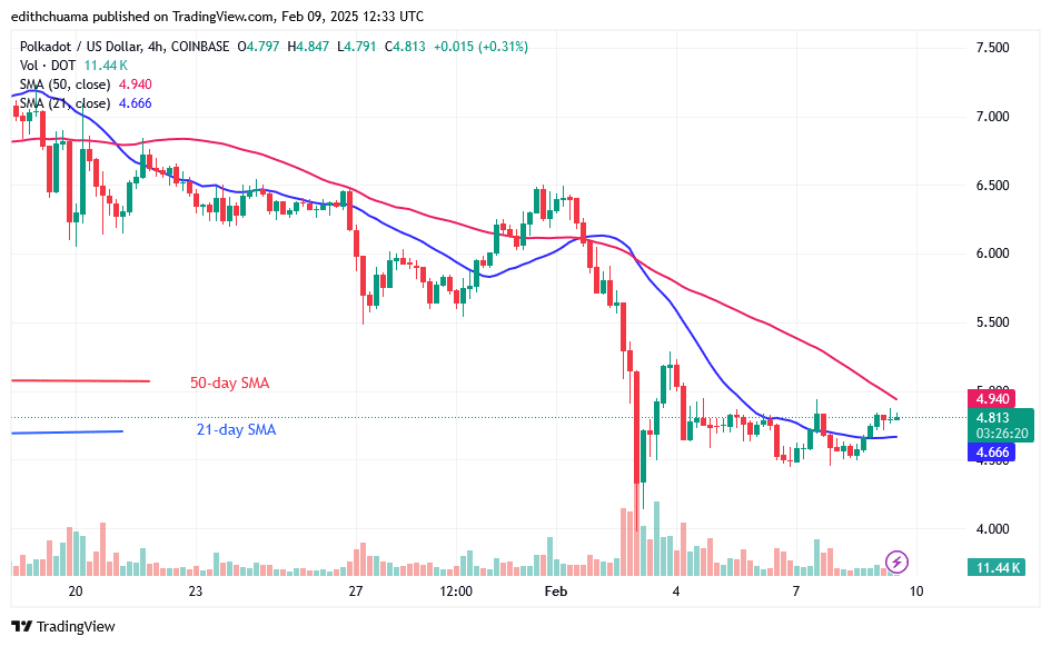 Polkadot Bounces Back after Plunging above .60