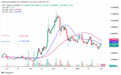 Polkadot Consolidates but Risks Falling below .50
