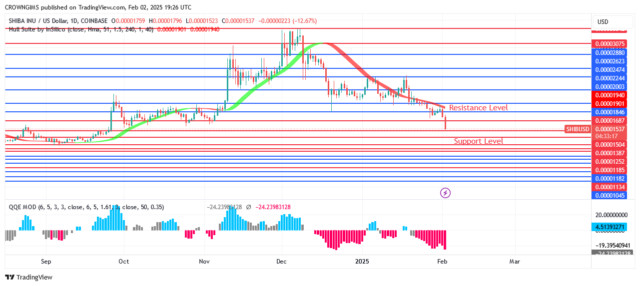 Shiba Inu (SHIB) Price: Sellers’ Pressure Double