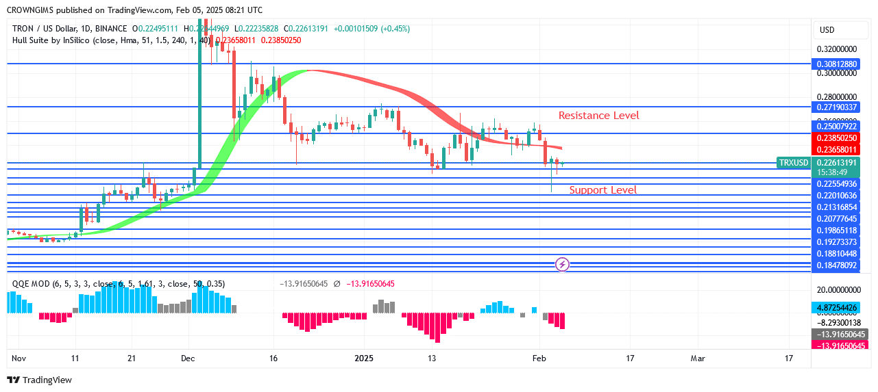 TRON price: Bulls Lose Ground at $0.30 Point