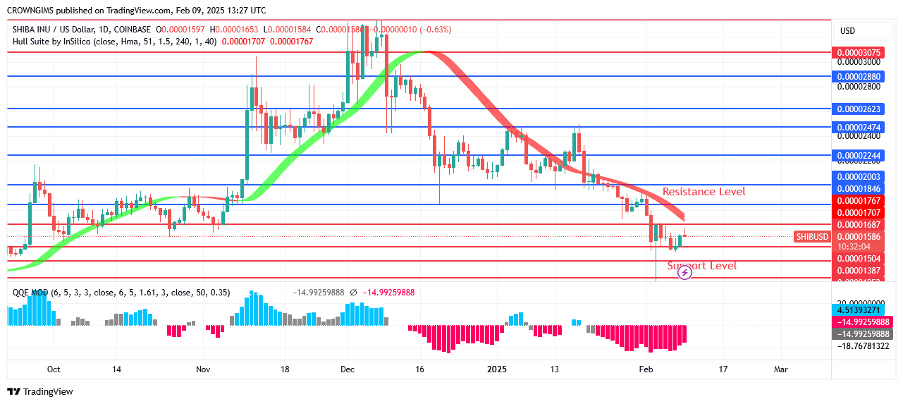 Shiba Inu (SHIB) Price May Retest Previous Low at $0.000013