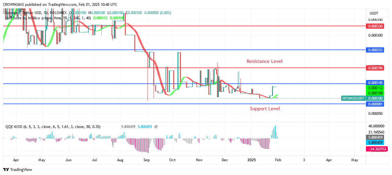 Sponge Is Showing a Purchase Signal