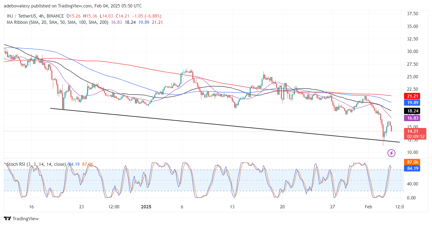 Injective (INJ) Slips Lower