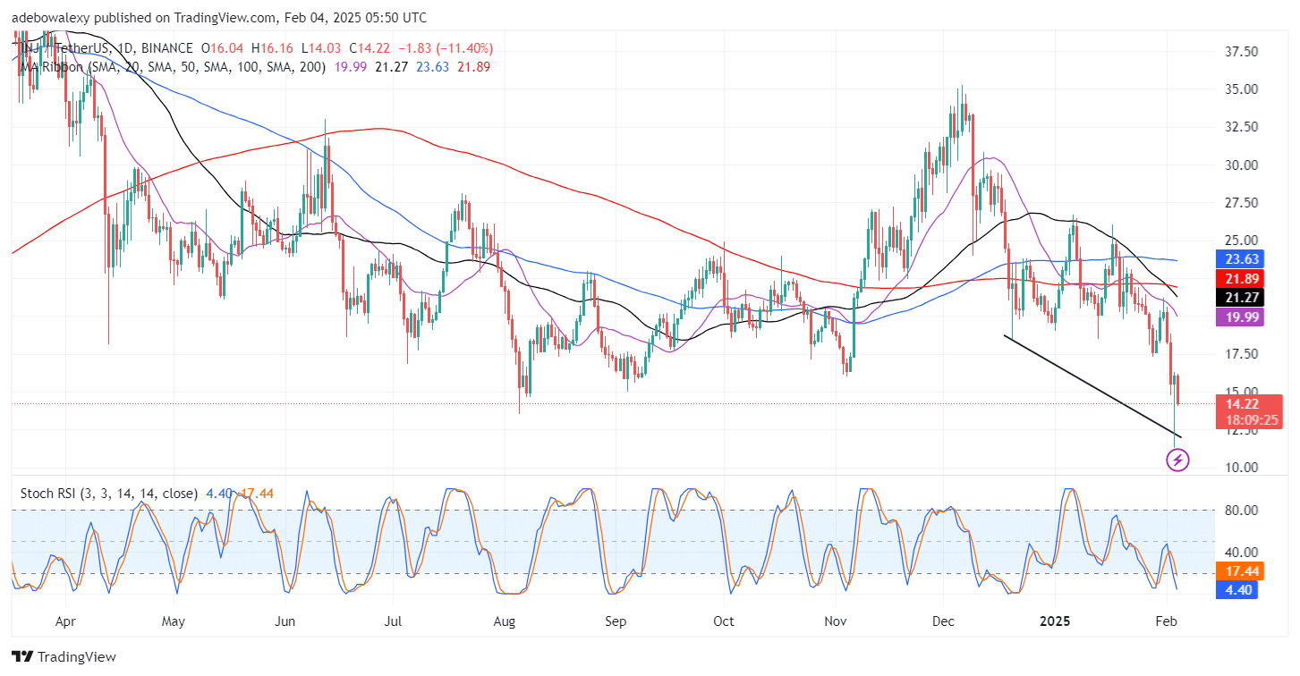 Injective (INJ) Slips Lower