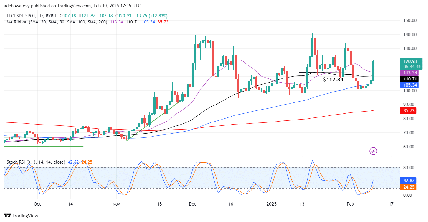 Litecoin (LTC) Market Witnesses a Strong Tailwind