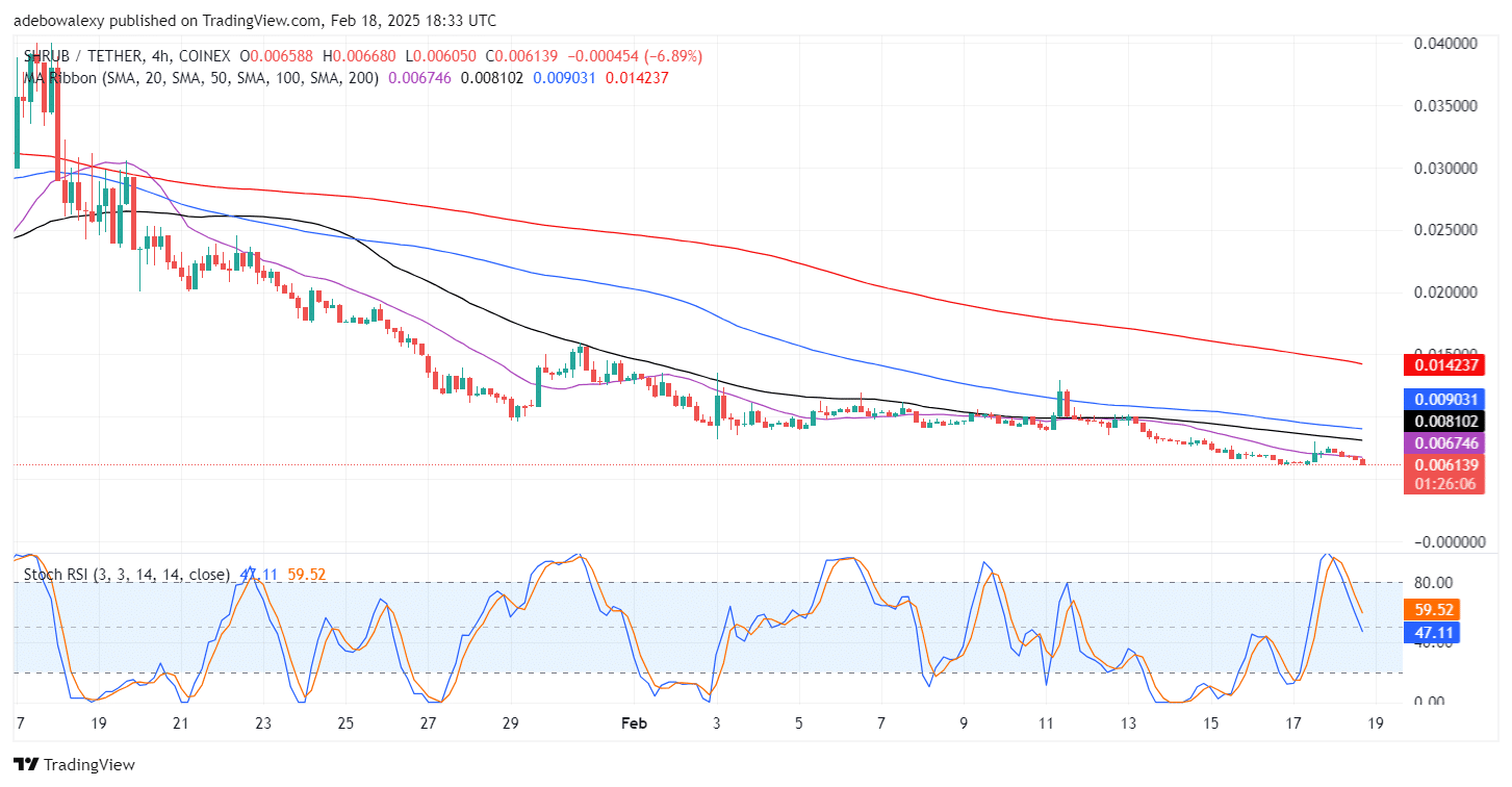 SHRUB/USDT Positioned for Further Downward Corrections