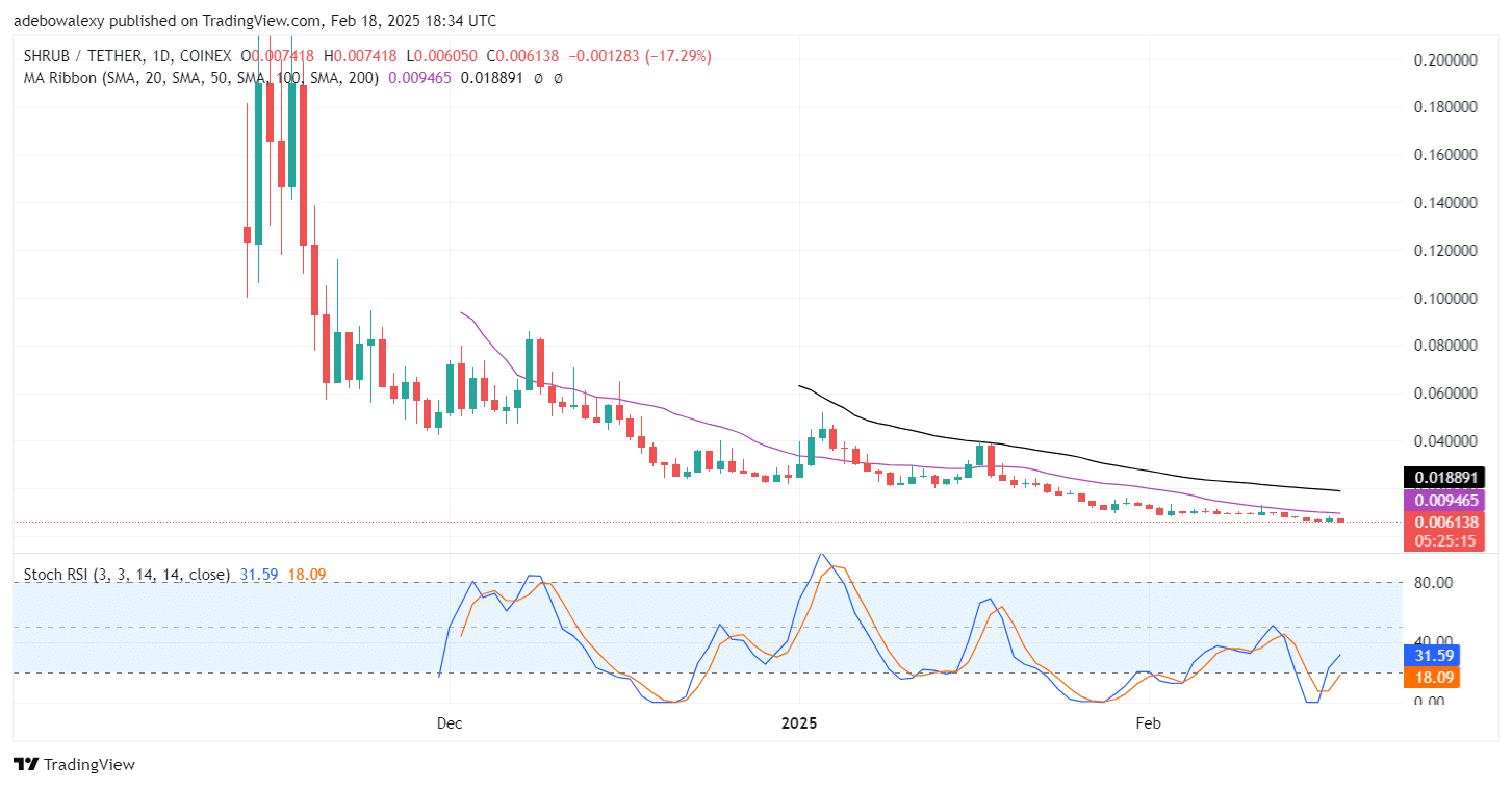 SHRUB/USDT Positioned for Further Downward Corrections