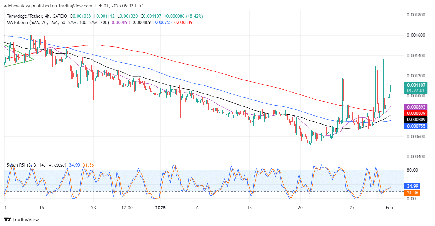 Tamadoge (TAMA) Price Outlook for February 1: Tamadoge Sees Surging Demand