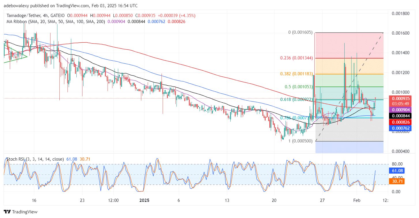 Tamadoge (TAMA) Price Outlook for February 3: Tamadoge Regains Focus Towards the $0.001000 Level