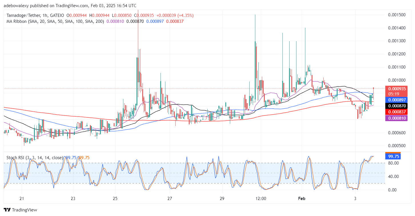 Tamadoge (TAMA) Price Outlook for February 3: Tamadoge Regains Focus Towards the $0.001000 Level