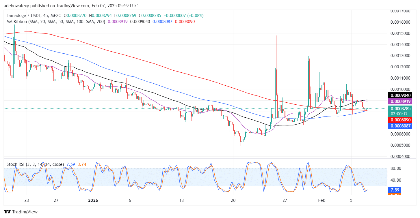 Tamadoge (TAMA) Price Outlook for February 7: Tamadoge Finds New Support Above the $0.0008200 Mark