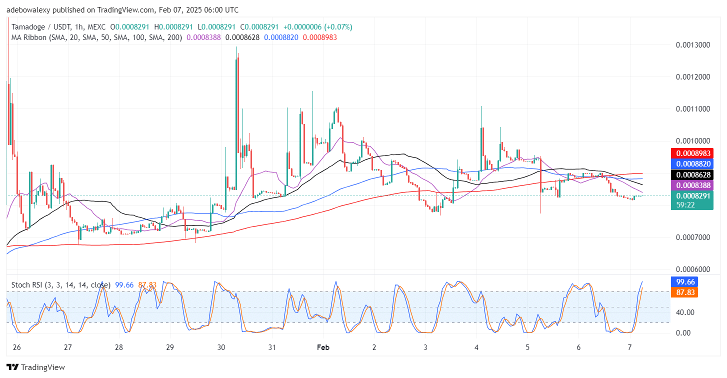 Tamadoge (TAMA) Price Outlook for February 7: Tamadoge Finds New Support Above the $0.0008200 Mark