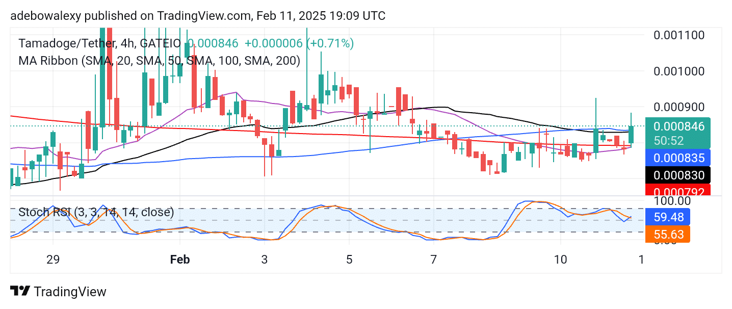 Tamadoge (TAMA) Price Outlook for February 11: Tamadoge Bounces Back