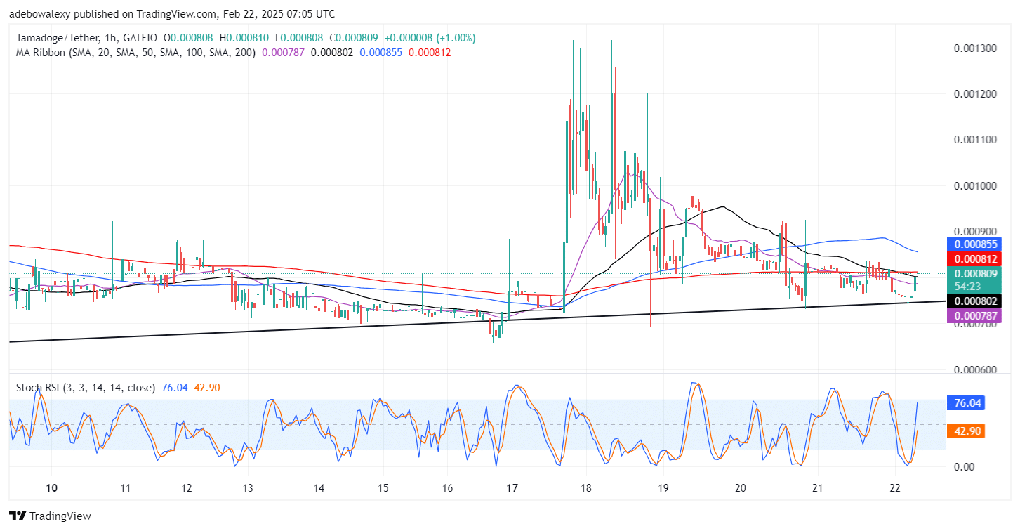 Tamadoge (TAMA) Price Outlook for February 22: Tamadoge Bulls Retain the $0.000800 Support Level