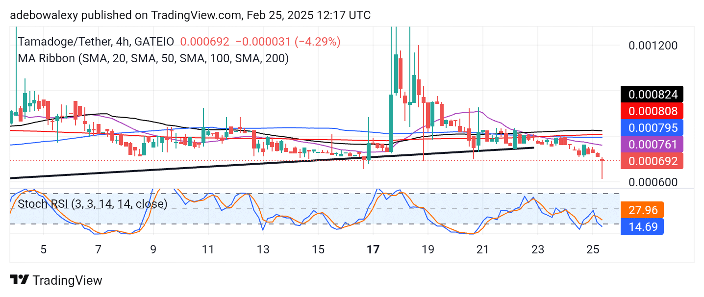 Tamadoge (TAMA) Price Outlook for February 25: Tamadoge Buyers Show Optimism While the Crypto Market Dives