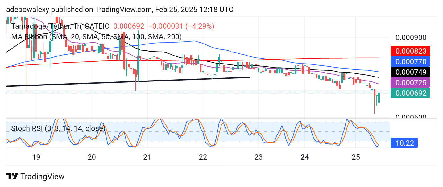 Tamadoge (TAMA) Price Outlook for February 25: Tamadoge Buyers Show Optimism While the Crypto Market Dives