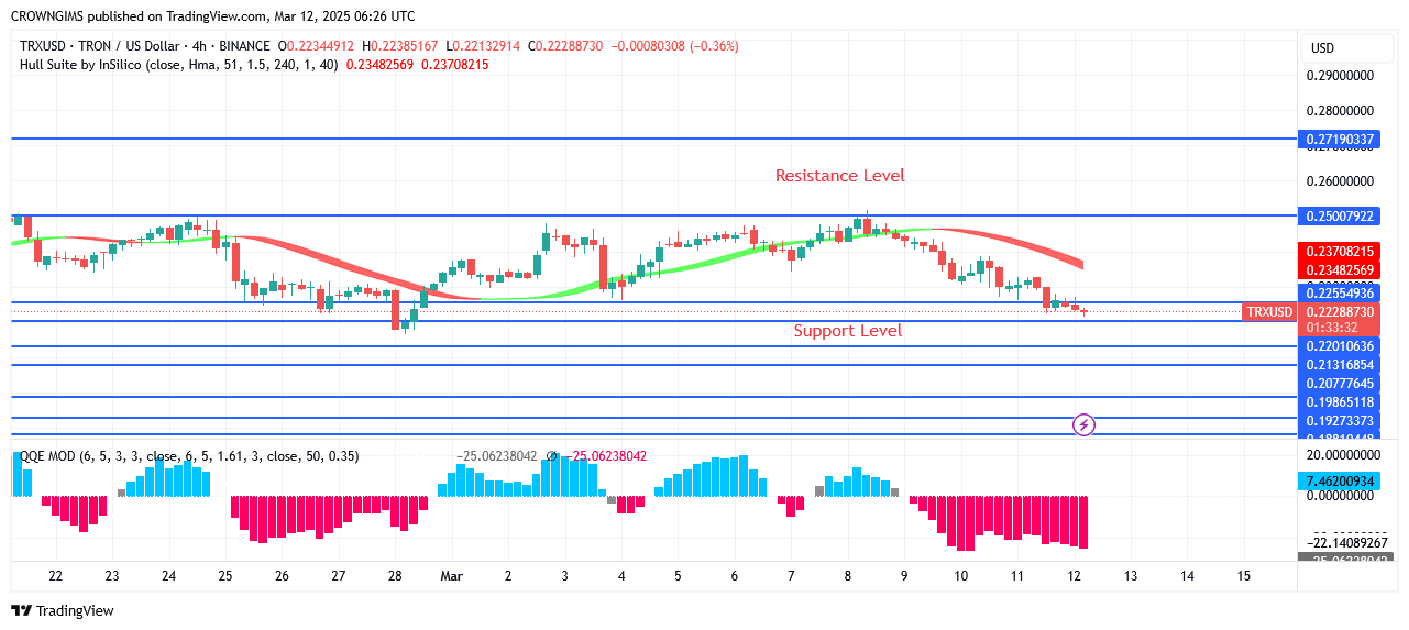 TRON Price: Bears Are Prevailing